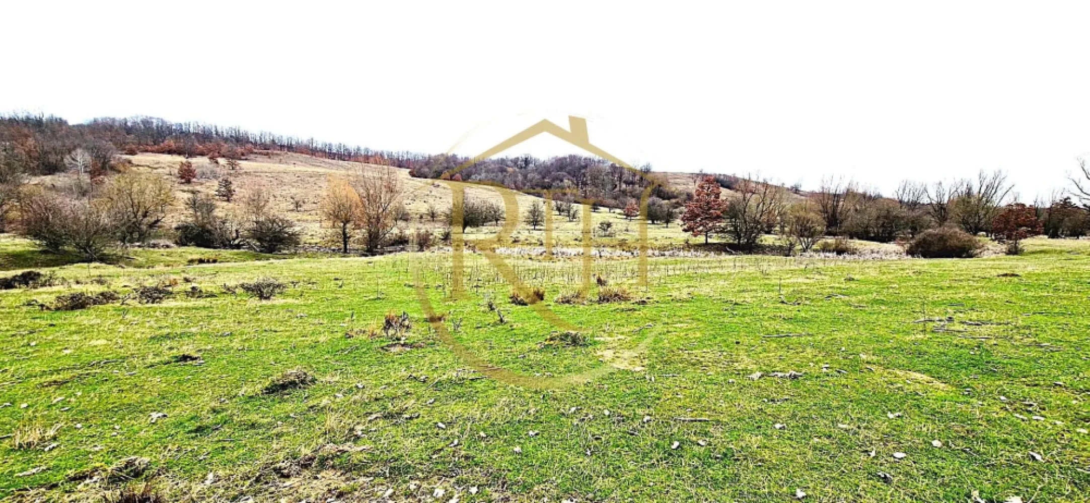 Terenuri extravilane de vânzare – Vizma & Crivobara, comuna Secaș, jud. Timiș