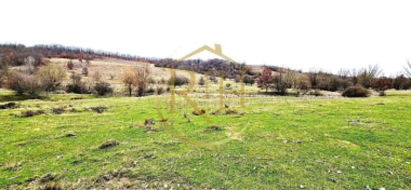 Terenuri extravilane de vânzare – Vizma & Crivobara, comuna Secaș, jud. Timiș