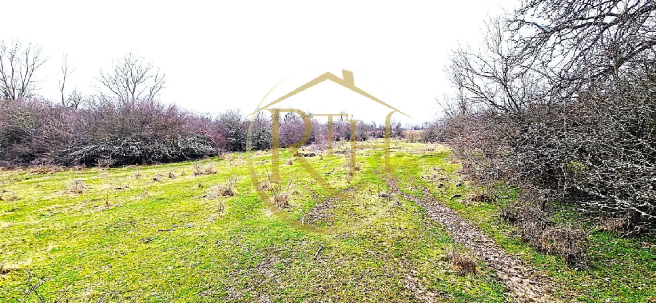 Terenuri extravilane de vânzare – Vizma & Crivobara, comuna Secaș, jud. Timiș - Vă propunem spre vânzare parcele de teren extravilan situate în zonele Vizma și Crivobara, aparținând de comuna Secaș, județul Timiș.

Terenurile sunt amplasate într-un cadru natural deosebit, cu priveliste panoramică asupra dealurilor, în apropierea pădurii și a unui pârâu, oferind un mediu liniștit, aer curat și potențial ridicat de dezvoltare. Proprietățile se află în apropierea graniței dintre județele Timiș și Arad, ceea ce le conferă un avantaj strategic și acces facil către ambele direcții.

Zona este în continuă dezvoltare, în apropiere fiind deja construite case de vacanță și locuințe permanente, fapt ce confirmă atractivitatea și potențialul regiunii.

📐 Suprafețe disponibile:

69.300 mp

40.900 mp

25.000 mp

33.300 mp

31.700 mp

Unele parcele beneficiază de acces direct la drum, iar suprafețele compacte le fac ușor de exploatat și atractive pentru fermieri sau investitori.

📍 Localizare avantajoasă:

Aproximativ 65 km de Timișoara

Aproximativ 40 km de Lugoj

Zonă cu acces facil către drumurile principale din județ

Poziționare aproape de limita dintre județele Timiș și Arad

📄 Situație juridică clară:

✔️ Teren intabulat
✔️ Carte funciară liberă de sarcini
✔️ Disponibil pentru vânzare imediată

🌾 Potențial:

Terenurile sunt potrivite pentru:

✔️ Proiecte recreative sau case de vacanță
✔️ Posibilă dezvoltare rezidențială în perspectivă
✔️ Investiție pe termen mediu și lung
✔️ Activități agricole
✔️Investiție pe termen lung
✔️Posibilă dezvoltare viitoare, în funcție de reglementările urbanistice

💰 Preț:

0,8 Euro / mp
Preț ușor negociabil, în funcție de parcelă.

🔑 Concluzie profesională

Aceste proprietăți reprezintă o oportunitate solidă pentru investitori, fermieri sau persoane interesate de achiziția unor suprafețe generoase de teren agricol într-o zonă naturală, liniștită și în dezvoltare din județul Timiș, la un preț competitiv raportat la piață.

📞 Pentru informații suplimentare, documentație cadastrală sau programarea unei vizionări, vă stau la dispoziție.
 Proprietate reprezentata in exclusivitate de RealTimHouse.ro . Un pas spre un loc doar al tau !
