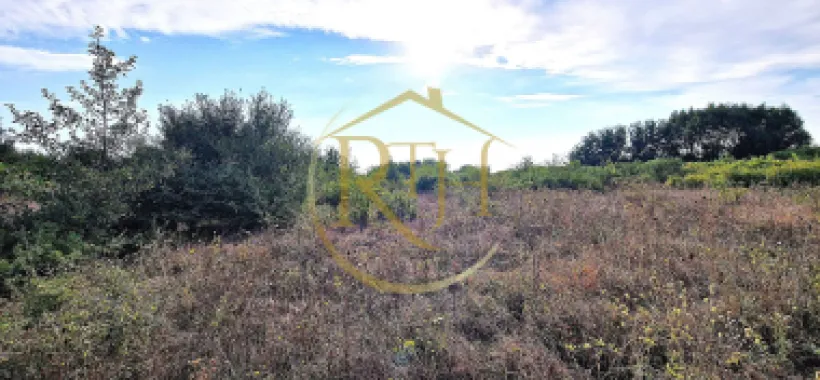 Teren de vânzare – 11.273 mp – zona Plopi, Timișoara Sud.