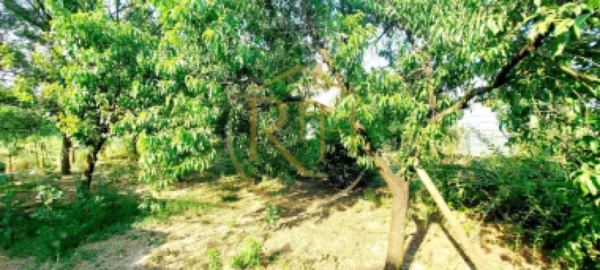 Oferim spre vanzare casa, 6 camere, 162mp utili, 809mp teren, in Giroc