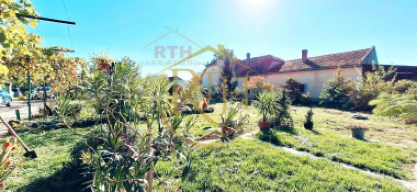 Oferim spre vanzare, Casa cu 5 camere, teren 1500 mp, Beregsau Mare