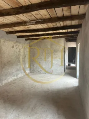 Casa plus teren de vânzare în Balinț,comision ,,0''