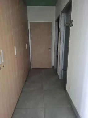 BRASADAS închiriază Sp Com UpGround integral/parțial