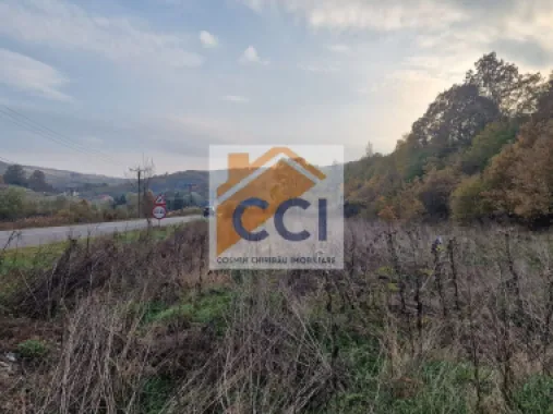 Logo Cosmin Chiribau Imobiliare logo