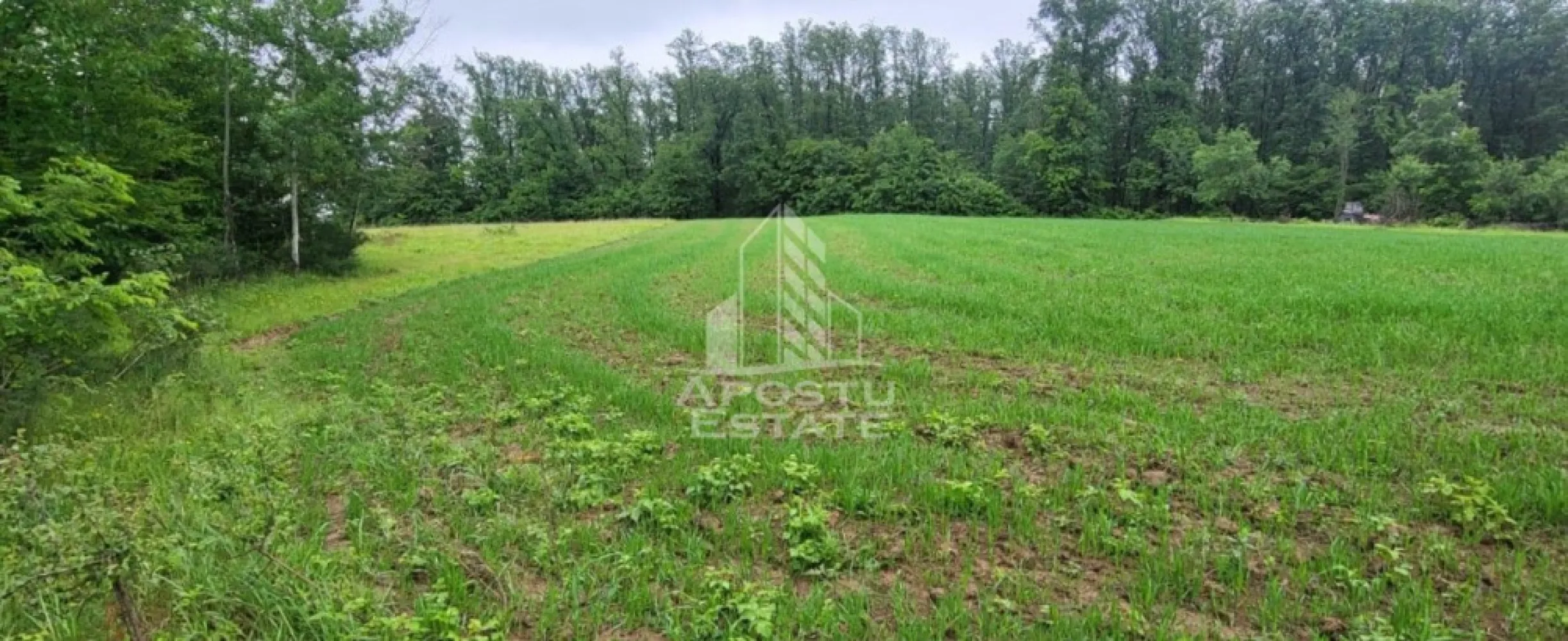 Teren mixt de 8.600 mp, ideal pentru investitie, Cuied - Apostu Estate va ofera spre vanzare ofera spre vanzare un teren generos, cu o suprafata totala de 8.600 mp, situat intr-o zona linistita si verde, la numai 45 km de Arad. Proprietatea are deschidere de 42 ml la drumul judetean DJ 792C, asigurand acces facil si rapid la infrastructura rutiera.

Terenul este impartit in doua parcele distincte, fiecare cu un potential deosebit:

Parcela 1: 3.300 mp teren impadurit, ideal pentru iubitorii de natura, plimbari sau amenajari rustice

Parcela 2: 5.300 mp teren arabil, perfect pentru gradini, livezi, activitati recreative sau dezvoltari personale

Aceasta combinatie unica de teren impadurit si arabil face ca proprietatea sa fie perfecta pentru construirea de cabane de vacanta, locuri de camping, activitati ecoturistice sau chiar un refugiu privat pentru familie si prieteni.

Amplasat intr-un cadru natural cu aer curat, biodiversitate bogata si liniste deplina, terenul ofera multiple posibilitati pentru relaxare, recreere si investitii durabile.
 Ofetra ID CP2553421