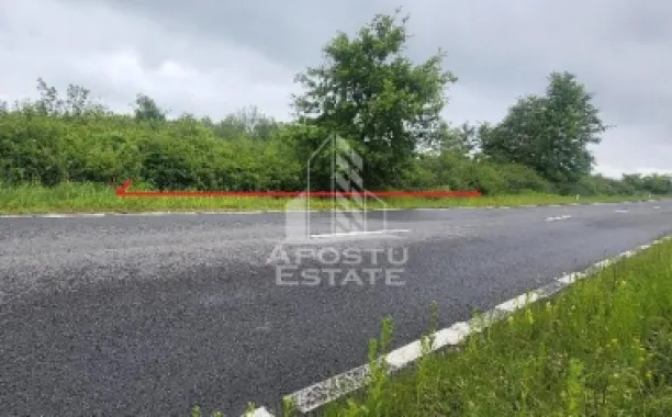 Teren mixt de 8.600 mp, ideal pentru investitie, Cuied