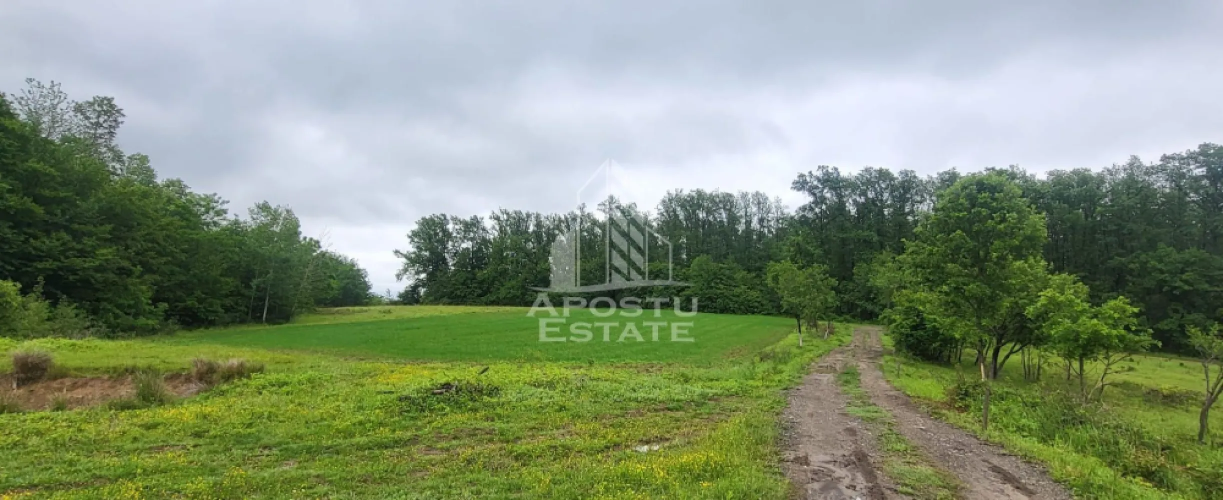 Teren mixt de 8.600 mp, ideal pentru investitie, Cuied - Apostu Estate va ofera spre vanzare ofera spre vanzare un teren generos, cu o suprafata totala de 8.600 mp, situat intr-o zona linistita si verde, la numai 45 km de Arad. Proprietatea are deschidere de 42 ml la drumul judetean DJ 792C, asigurand acces facil si rapid la infrastructura rutiera.

Terenul este impartit in doua parcele distincte, fiecare cu un potential deosebit:

Parcela 1: 3.300 mp teren impadurit, ideal pentru iubitorii de natura, plimbari sau amenajari rustice

Parcela 2: 5.300 mp teren arabil, perfect pentru gradini, livezi, activitati recreative sau dezvoltari personale

Aceasta combinatie unica de teren impadurit si arabil face ca proprietatea sa fie perfecta pentru construirea de cabane de vacanta, locuri de camping, activitati ecoturistice sau chiar un refugiu privat pentru familie si prieteni.

Amplasat intr-un cadru natural cu aer curat, biodiversitate bogata si liniste deplina, terenul ofera multiple posibilitati pentru relaxare, recreere si investitii durabile.
 Ofetra ID CP2553421