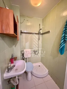 Garsoniera de inchiriat, petfriendly, zona Garii, Timisoara