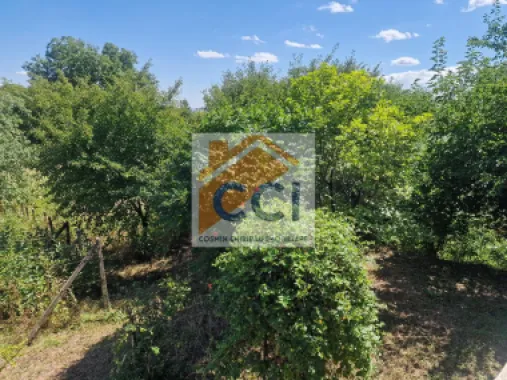 Casa in mediu rural cu teren