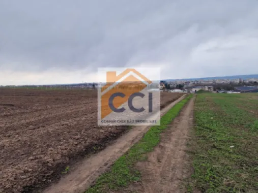 Teren 10,000mp Bacau / Strada Alexandru Safran