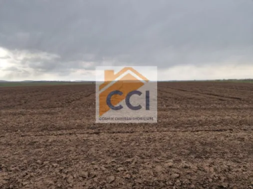 Teren 10,000mp Bacau / Strada Alexandru Safran