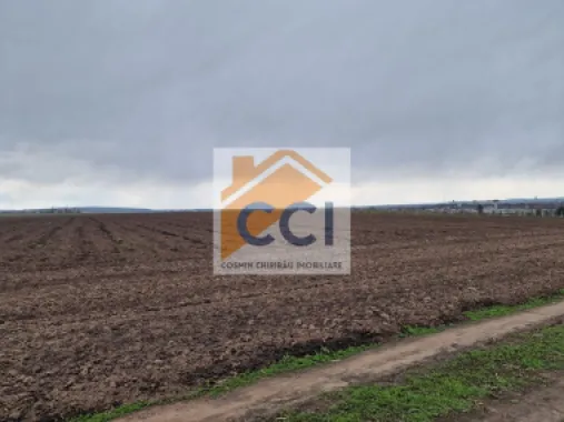 Teren 10,000mp Bacau / Strada Alexandru Safran
