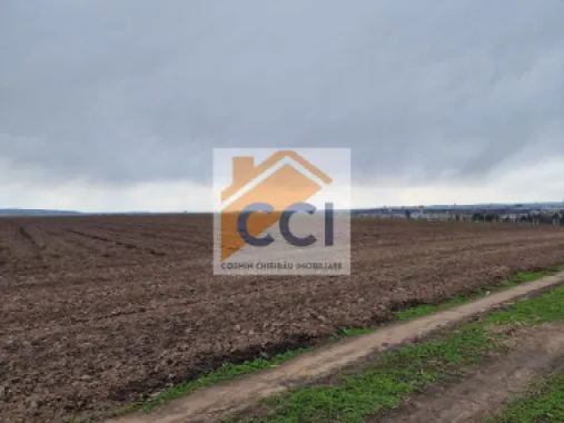Teren 10,000mp Bacau / Strada Alexandru Safran