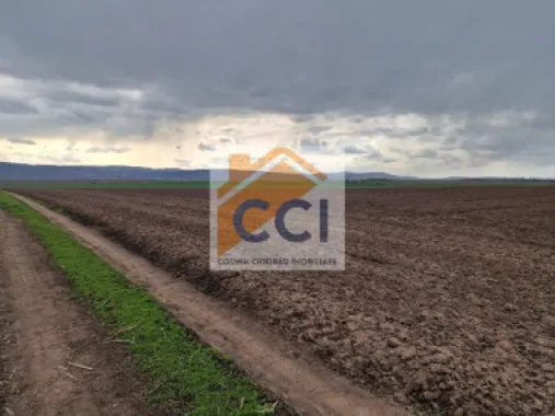 Teren 10,000mp Bacau / Strada Alexandru Safran