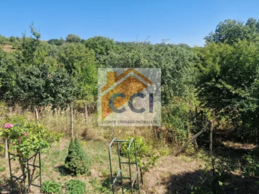 Casa in mediu rural cu teren