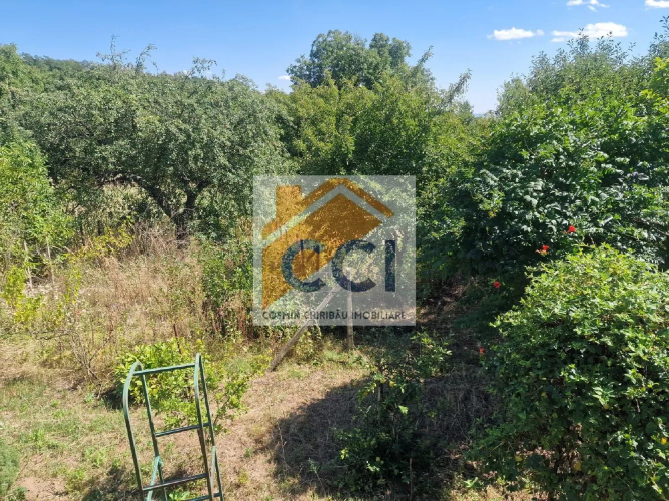 Casa in mediu rural cu teren