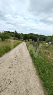 Teren Intravilan 977 mp de Vânzare în Cisnădioara – Locație de Poveste