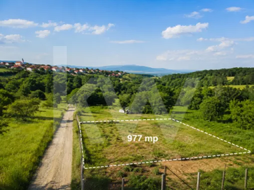 Teren Intravilan 977 mp de Vânzare în Cisnădioara – Locație de Poveste