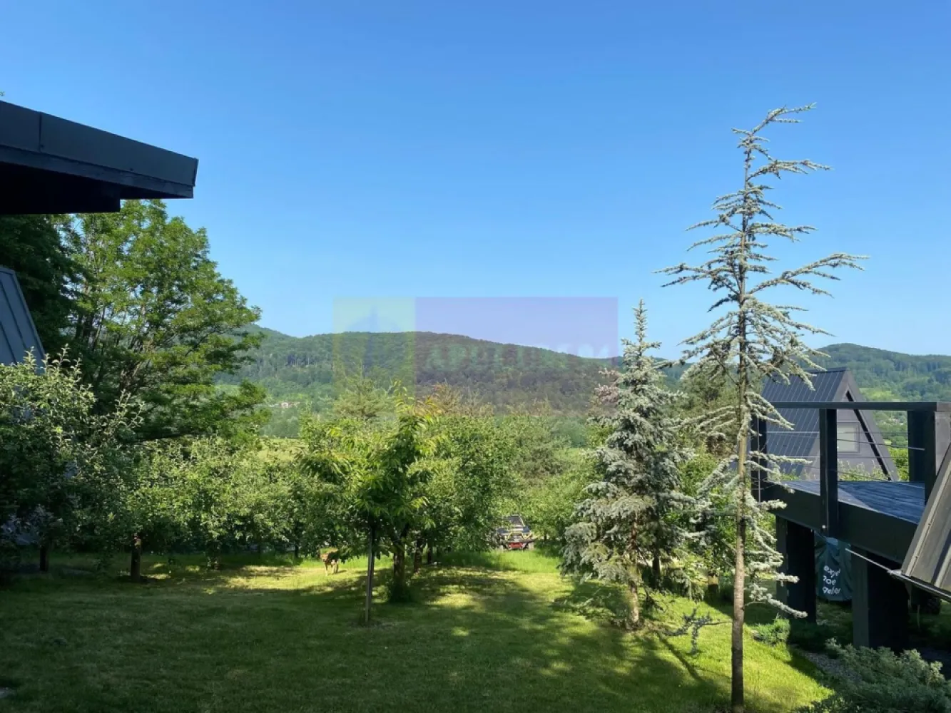 Cabane A frame + Teren 6000 mp | Proprietate deosebita, NOU