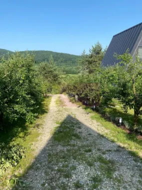 Cabane A frame + Teren 6000 mp | Proprietate deosebita, NOU
