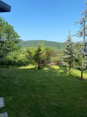 Cabane A frame + Teren 6000 mp | Proprietate deosebita, NOU