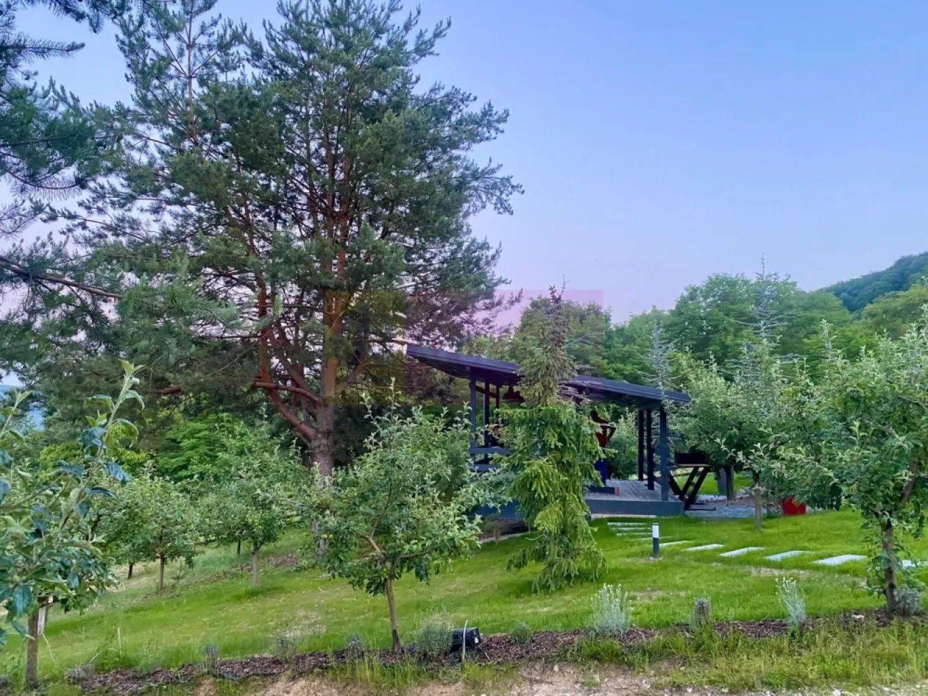 Cabane A frame + Teren 6000 mp | Proprietate deosebita, NOU