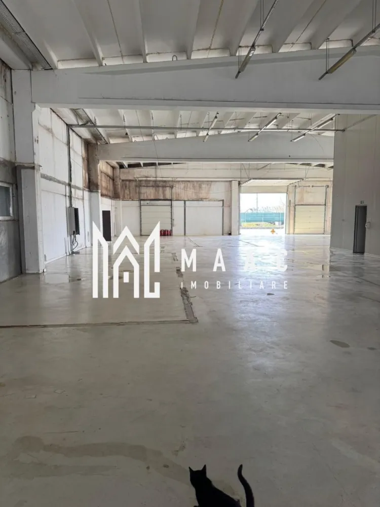 Spațiu industrial 1000mp | Acces tir | Teren 2500mp | Selimbar