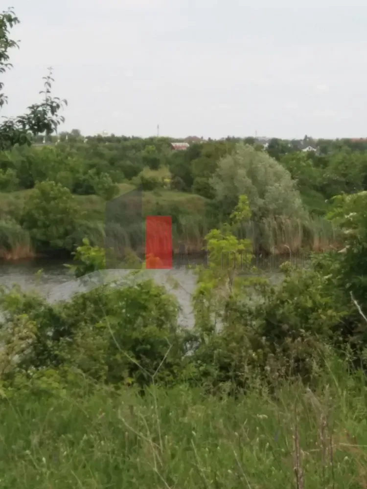 Teren Buftea cu iesire la lac - Art Imobiliare va ofera spre vanzare un teren intravilan constructii cu deschidere la lacul Colentina de 60 ml, unde cu usurinta se poate amenaja un ponton pentru cei pasionati de sporturi nautice, sau de ce nu locuri de pescuit. Avand in vedere suprafata generoasa de 3000mp, este pretabil atat pentru un complex rezidential cat si pentru cineva care isi doreste o locuinta mai retrasa 
 Pentru orice informatie nu ezitati sa ne contactati.