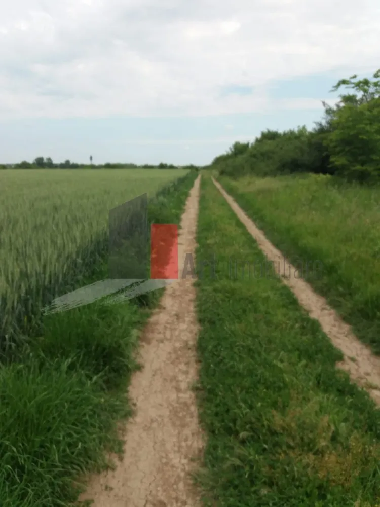 Teren Buftea cu iesire la lac - Art Imobiliare va ofera spre vanzare un teren intravilan constructii cu deschidere la lacul Colentina de 60 ml, unde cu usurinta se poate amenaja un ponton pentru cei pasionati de sporturi nautice, sau de ce nu locuri de pescuit. Avand in vedere suprafata generoasa de 3000mp, este pretabil atat pentru un complex rezidential cat si pentru cineva care isi doreste o locuinta mai retrasa 
 Pentru orice informatie nu ezitati sa ne contactati.