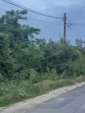 Ciolpani teren intravila 2500 mp de vanzare