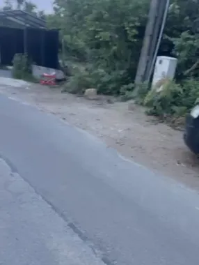 Ciolpani teren intravila 2500 mp de vanzare