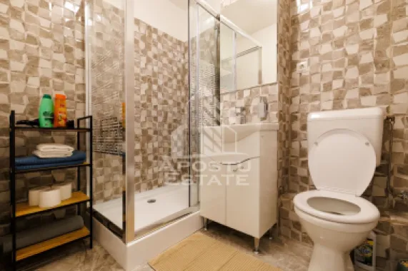 Apartament o camera, renovat, Piata Marasti Timisoara