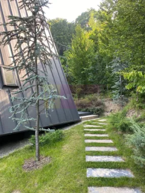 Cabane A frame + Teren 6000 mp | Proprietate deosebita, NOU