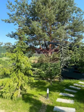 Cabane A frame + Teren 6000 mp | Proprietate deosebita, NOU