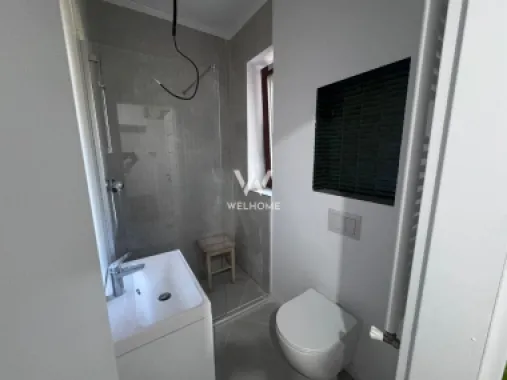 Apartament la casa de inchiriat, Parcul Sub Arini