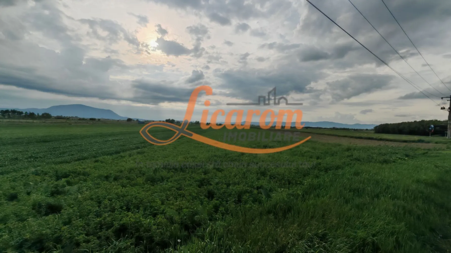 Teren Stupini Calea Feldioarei 4600 mp,21 euro/mp, front asfalt-DN13 - OPORTUNITATE INVESTITIE!!
Agentia Licarom Imobiliare propune spre vanzare un teren in suprafata de 4600 mp la iesirea din Brasov - Stupini, pe DN 13 .
Terenul este plan si are o deschidere la asfalt la DN 13 de 14,80 ml. .
Zona pretabila SPALATORIE SELF SERVICE, SHOWROOM, HALE PT INDUSTRIE,sI ALTE TIPURI DE DEZVOLTARE IMOBILIARA (in apropiere se afla Cartierul de vile, exclusivist "STUPINII NOI") .
Momentan terenul este incadrat in categoria agricol extravilan ,existand posibiliatatea schimbarii destinatiei si incadrarii in teren intravilan, in baza realizarii unui PUZ .
In zona exista utilitati : curent electric,gaz,apa,peste drum fiind sediul unei firme mari.

Pretul este de 21 euro/ mp .
Pentru tranzactionarea acestei proprietati,agentia imobiliara percepe comision de 3%.

Pentru mai multe relatii si vizionari,nu ezitati sa ne contactati la telefon 0741059397 Consultant imobiliar Calin si 0723985424 Consultant Imobiliar Liliana