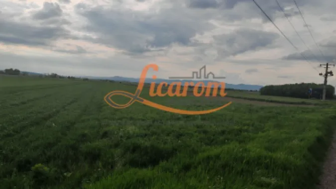 Teren Stupini Calea Feldioarei 4600 mp,21 euro/mp, front asfalt-DN13