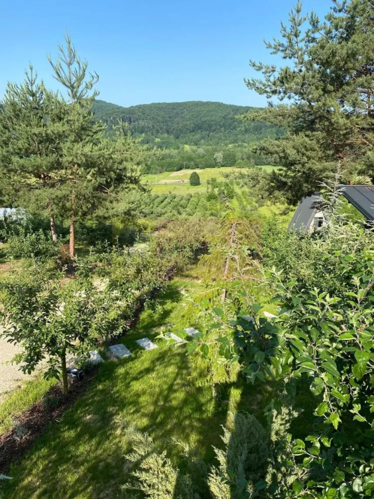 Cabane A frame + Teren 6000 mp | Proprietate deosebita, NOU