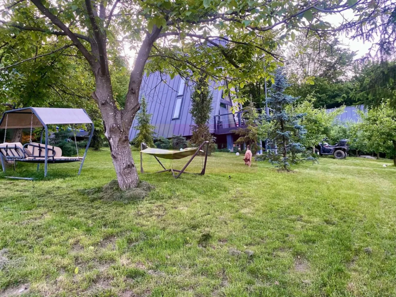 Cabane A frame + Teren 6000 mp | Proprietate deosebita, NOU