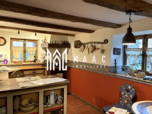 Casă 7 camere I 370 mp teren I Garaj I Cisnadioara