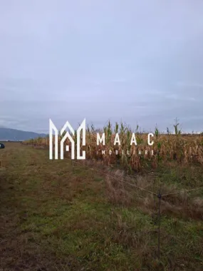 Teren Intravilan | 3900 MP | Tălmaciu