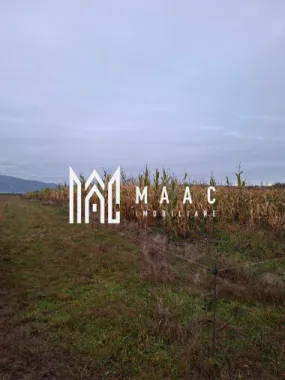 Teren Intravilan | 3900 MP | Tălmaciu