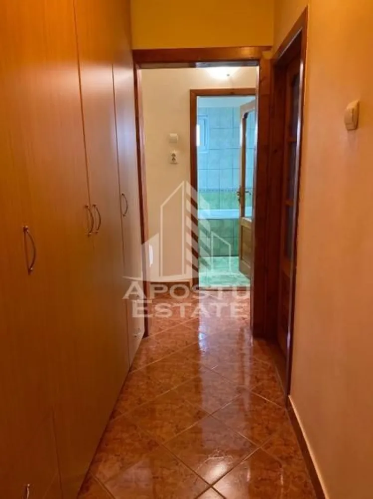 Apartament 3 camere de inchiriat,decomandat,Zona Lipovei , Timisoara