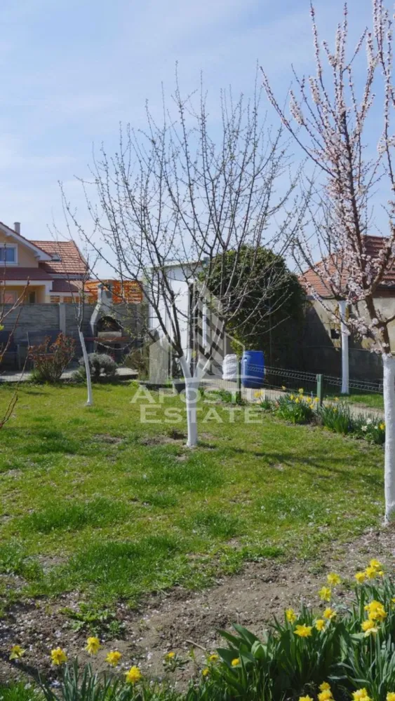 Duplex in exclusivitate in Mosnita Veche cu 4 camere si 3 bai - Apostu Estate va ofera spre vanzare Duplex in Mosnita Veche situat in pozitie buna ,in apropiere de mijloace de transport in comun,magazine,zona asfaltata .
Constructie 2018 din caramida ,regim de inaltime P-M-POD, cu suprafata utila de 117 mp si teren de 328 mp.
Incalzirea se realizeaza prin intermediul centralei pe gaz prin calorifere.
Tamplarie din geam Termopan.
Izolatie exterioara de 10 cm cu eps 80.
Curtea dispune de casuta pentru depozitare,alei pavate,gard de delimitare.Gradina amenajata cu pomi fructiferi si arbusti ornamentali.
Casa se vinde complet mobilata si partial utilata.
Ca dotari mai avem aer aconditionat in living si in ambele dormitoare de sus.
Compartimentare:
Parter;
-hol de acces
-terasa acoperita
-1 dormitor
-baie 
-living open space cu bucataria
-loc de depozitare
Etaj:
-hol de acces
-dormitor matrimonial cu baie proprie si balcon
-dormitor secundar cu dressing ,baie proprie si balcon 
Se accepta variante de creditare,cu orice informatii va stam la dispozitie telefonic!
 Va asteptam cu drag la o vizionare!