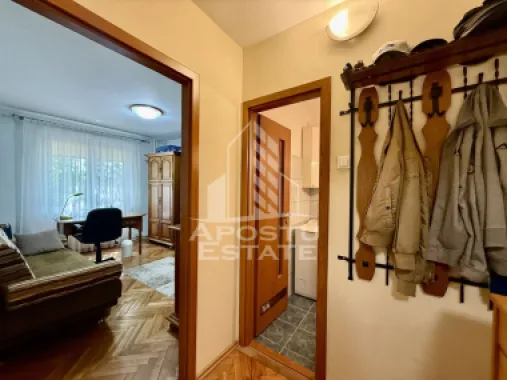 Apartament 3 camere, 2 bai, etaj 1, mobilat, zona Olimpia-Stadion