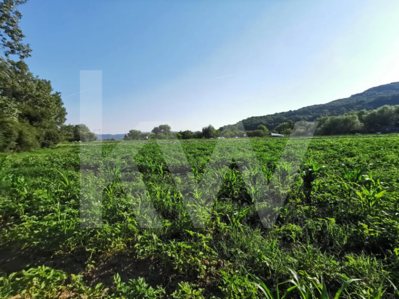 Teren extravilan 7500mp, cu acces la astfalt, zona Bungard - Va propunem spre vanzare, teren extravilan arabil in suprafata de 7.500 mp situat pe localitatea Selimbar, sat Mohu langa statia de Epurare Selimbar.
Terenul este compact, detine masuratoare Eterra, are acces direct din drumul judetean Bungard - Mohu, drum astfaltat pe un drum de pamant de exploatare si fiind marginit de raul Cibin, un alt teren agricol si drumul de acces.
Utilitatiile (curent+apa potabila) sunt la limita drumului judetean, putand fii trase direct pe teren la o distanta minima de 70-100 ml.
Terenul este ideal pentru activitati agricole, stuparit pastoral, exploatare balastiera, culturi piscicole, evenimente in aer liber si recreative,  etc.

Pentru informatii, detalii si vizionare nu ezitati sa ma contactati !