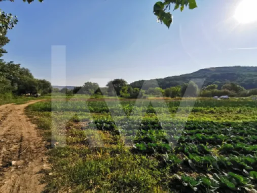 Teren extravilan 7500mp, cu acces la astfalt, zona Bungard