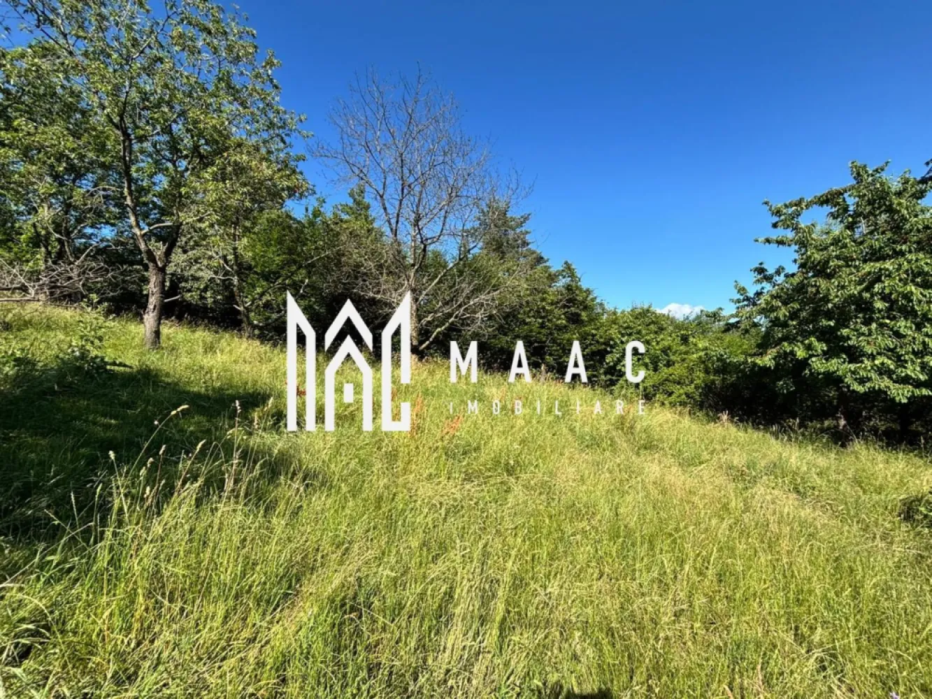 Teren intravilan 916 mp | Cisnădioara | P+1 | Zonă premium - MAAC IMOBILIARE propune spre vânzare un teren intravilan, situat în Cisnădioara, una dintre cele mai apreciate zone rezidențiale din apropierea Sibiului.

Proprietatea reprezintă o oportunitate excelentă atât pentru construirea unei locuințe individuale, cât și pentru investiție, fiind amplasată într-o zonă liniștită, cu acces facil și un cadru natural deosebit.

Caracteristici:

• Suprafață teren: 916 mp măsurați (905mp in acte)
• Regim de înălțime permis: P+1
• Deschidere-42 ml
• Teren intravilan
• Utilități în apropiere
• Acces facil către drum principal
• Zonă în continuă dezvoltare

Pentru informații suplimentare sau stabilirea unei vizionări, vă stăm la dispoziție.

Pentru mai multe detalii precizati telefonic ca ati vazut anuntul cu ID:CP3175037