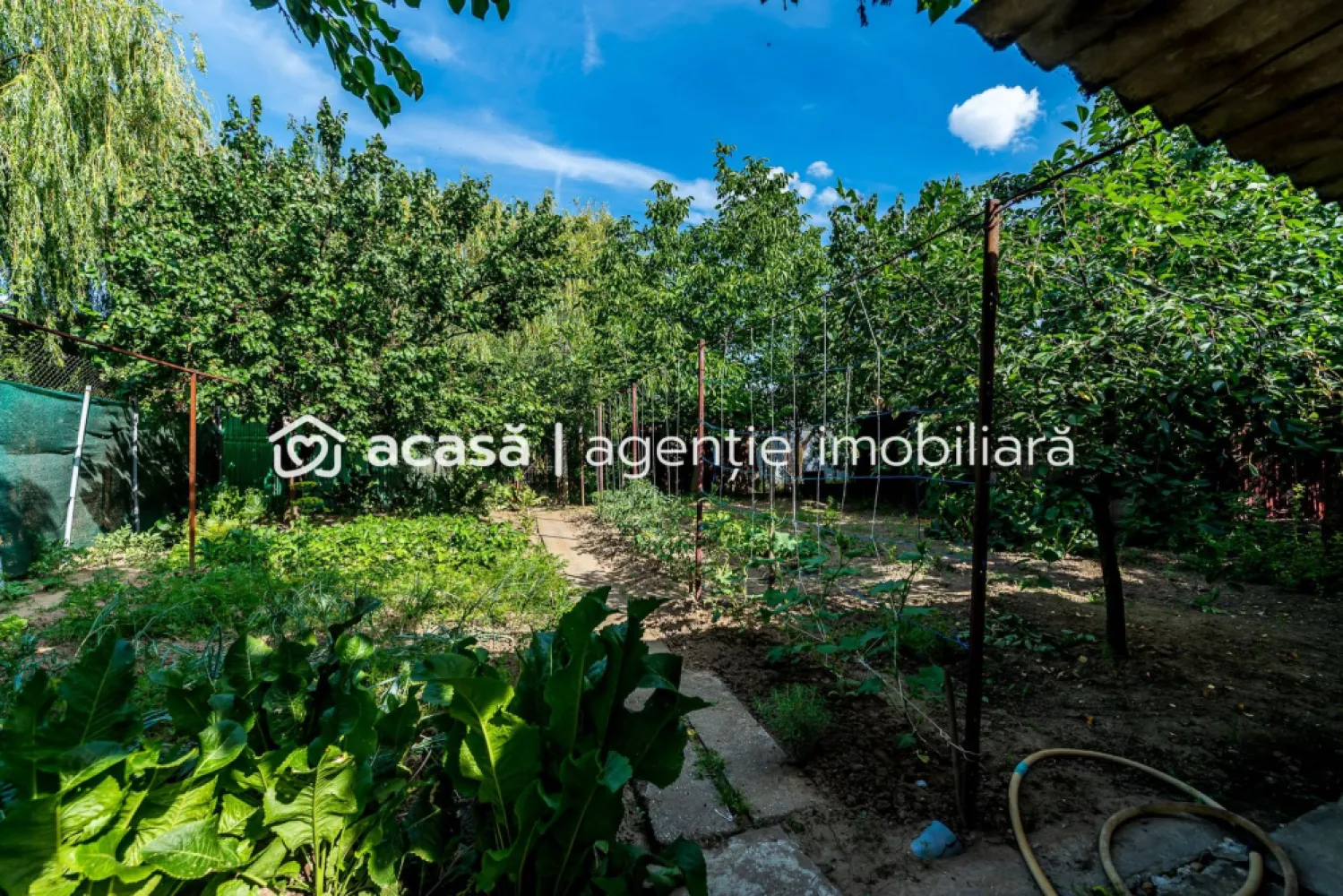 Casa 3 camere, bucatarie si baie, in zona centrala din Chisineu-Cris